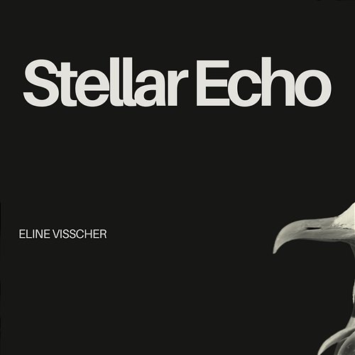 Stellar Echo Eline Visscher