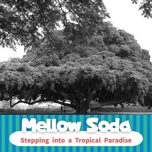 Stepping into a Tropical Paradise Mellow Soda