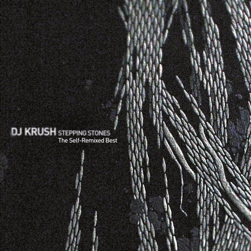 STEPPING STONES - The Self-Remixed Best DJ Krush