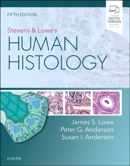 Stevens & Lowes Human Histology Opracowanie zbiorowe
