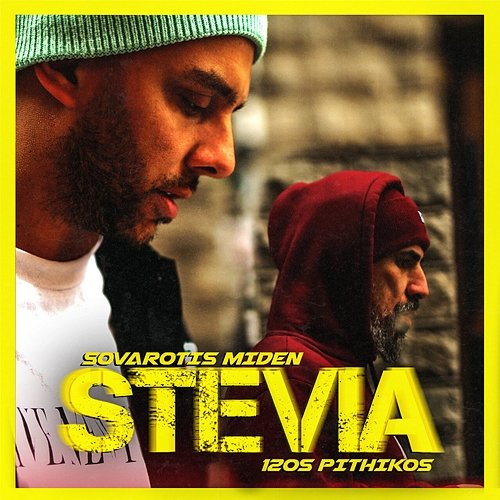 Stevia 12os Pithikos, Sovarotis Miden