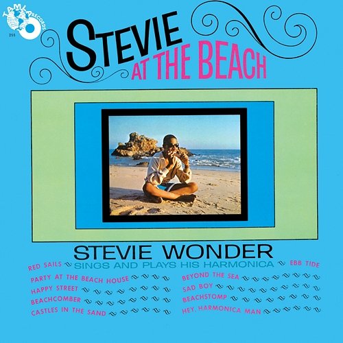 Stevie At The Beach Stevie Wonder