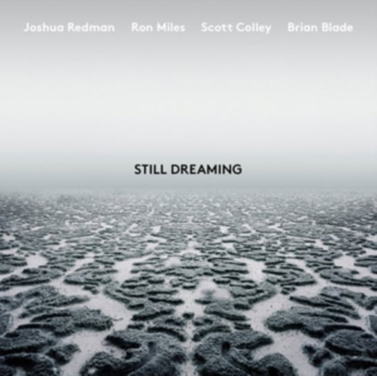 Still Dreaming, płyta winylowa Redman Joshua