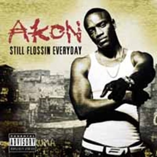 Still Flossin' Everyday Akon