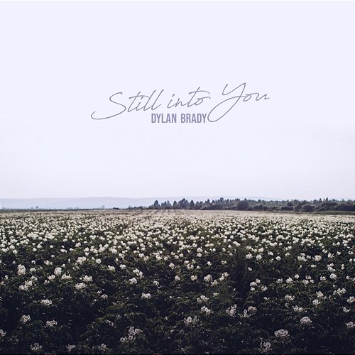 Still Into You Dylan Brady