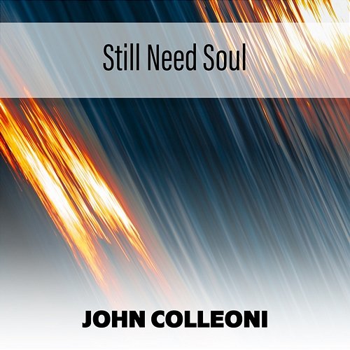 Still Need Soul John Colleoni