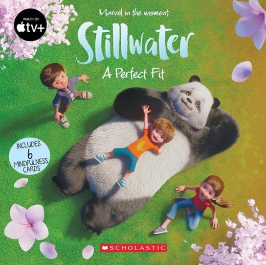Stillwater: A Perfect Fit Meredith Rusu