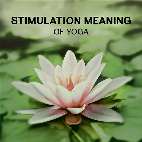 Stimulation Meaning of Yoga – Healing Sounds for Self Improvement, Deep Concentration & Brain Meditation Spa Music Paradise