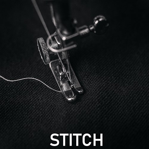 Stitch Fridxy