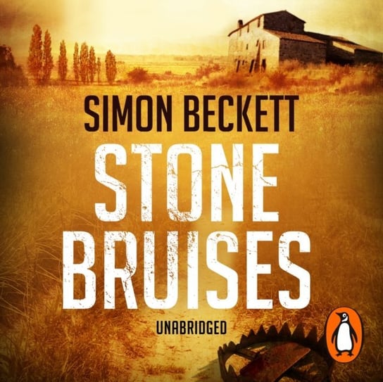 Stone Bruises Beckett Simon