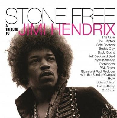 Stone Free: A Tribute To Jimi Hendrix, płyta winylowa Various Artists