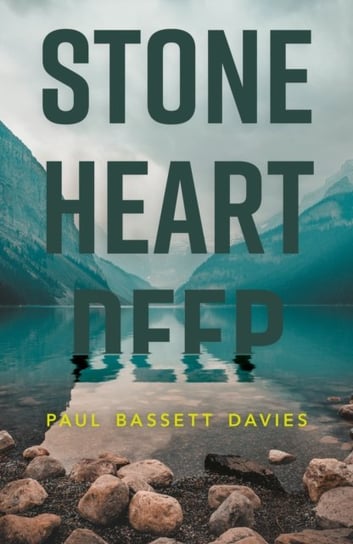 Stone Heart Deep Paul Bassett Davies