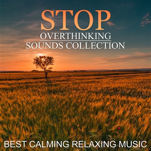 Stop Overthinking Sounds Collection: Best Calming Relaxing Music for Mindfulness Meditation, Yoga, Spa, Deep Sleep, New Age Thinking Music World