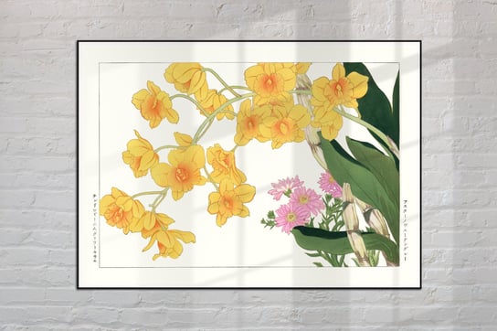 Storczyk Dendrobium Chrysotoxum Plakat Japonia Grafika Vintage 21X30 Cm (A4) / Dodoprint Dodoprint