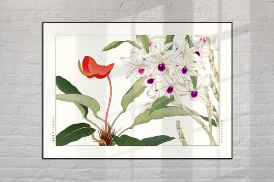 Storczyk Dendrobium Plakat Japonia Grafika Vintage 50X70 Cm (B2) / Dodoprint Dodoprint