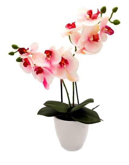 Storczyk silikonowy sztuczny biały różowy JAK ŻYWY 45 cm Inna marka