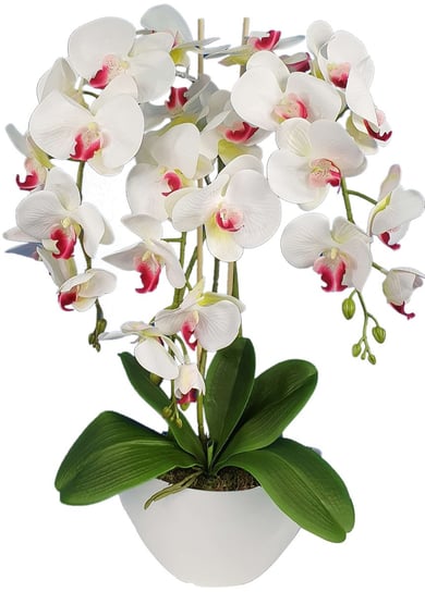 Storczyk sztuczny 3pgb2 orchidea jak żywy Damich