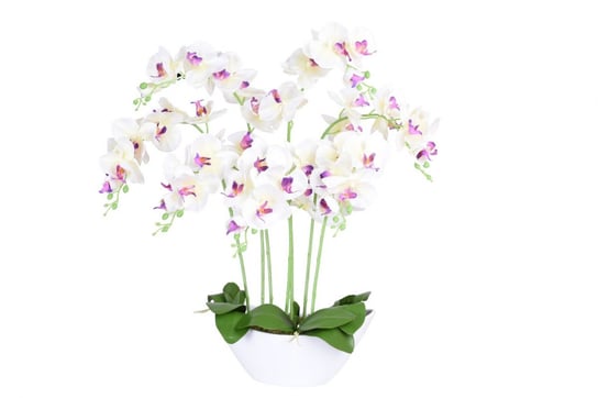 Storczyk sztuczny 56 kwiatów biały GMM