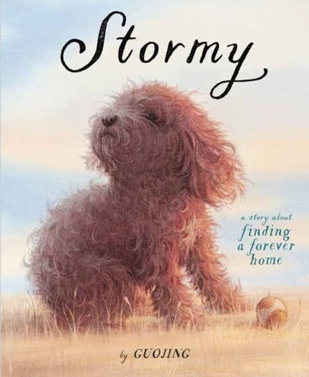 Stormy: A Story About Finding a Forever Home Guojing