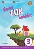 Storyfun Level 3 Home Fun Booklet Ritter Jane