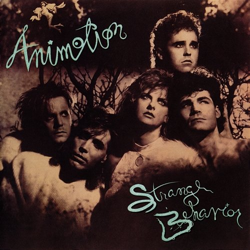 Strange Behavior Animotion