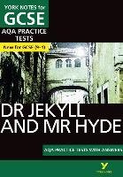 Strange Case of Dr Jekyll and Mr Hyde AQA Practice Tests: Yo Rooney Anne
