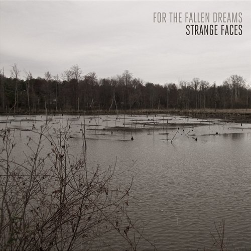Strange Faces For The Fallen Dreams