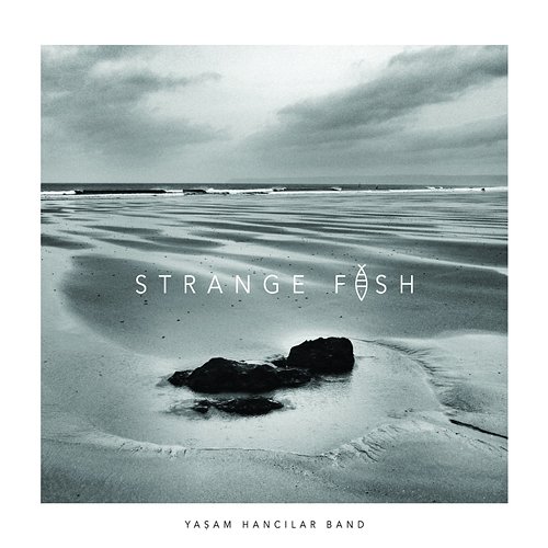 Strange Fish Yasam Hancilar Band