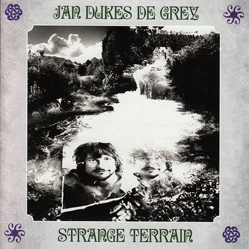 Strange Terrain Jan Dukes De Grey