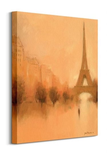 Stranger in Paris - obraz na płótnie Pyramid International
