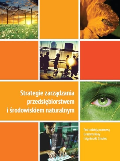 Strategie zarządzania przedsiębiorstwem i środowiskiem naturalnym Opracowanie zbiorowe
