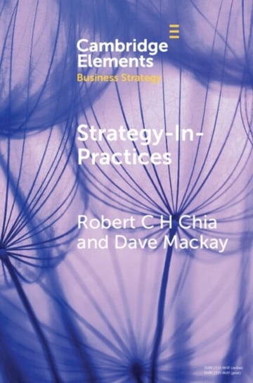 Strategy-In-Practices: A Process-Philosophical Perspective on Strategy-Making Opracowanie zbiorowe