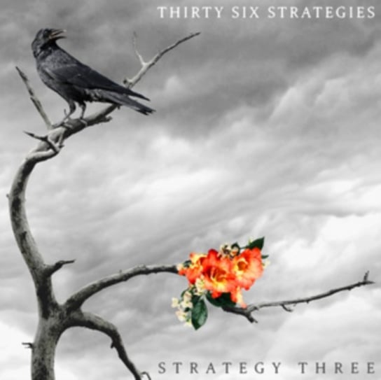 Strategy Three Thirty Six Strategies