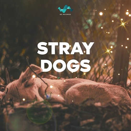Stray Dogs NS Records