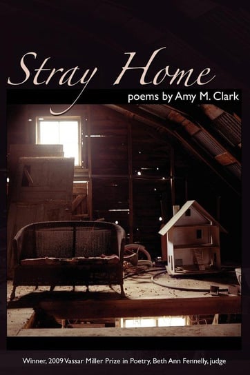 Stray Home Clark Amy M.