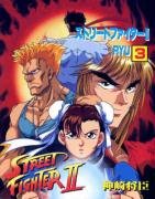 Street Fighter II - The Manga Volume 3 Kanzaki Masaomi