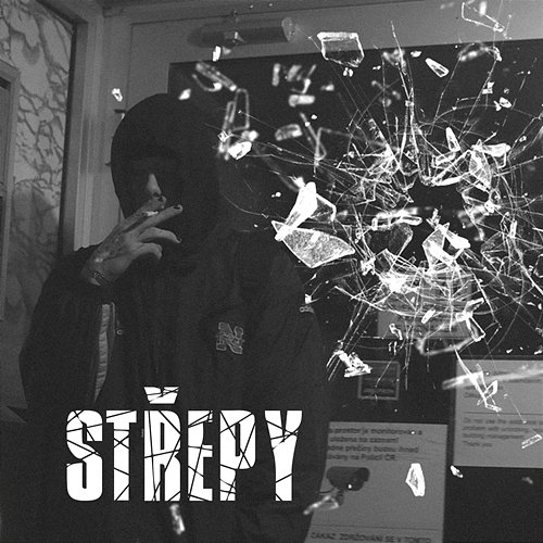 Střepy semspoko
