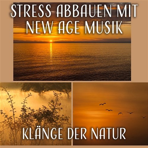 Stress Abbauen mit New Age Musik: Klänge der Natur (Geräusche der Vögel, Meereswellen) Beruhigende Instrumentalmusik (Flöte, Klavier Musik) für Geführte Meditation, Entspannung Heilende Geräusche Der Natur Academie