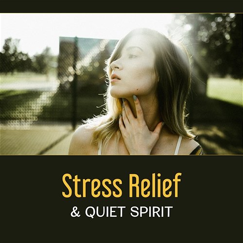 Stress Relief & Quiet Spirit – Positive Thinking, Good Aura, Meditation Practice for Peace in Mind & Soul, Anxiety Disorder, Relaxation, Path to Good Life New Age Anti Stress Universe