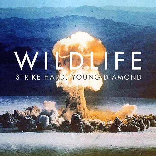 Strike Hard Young Diamond Wildlife