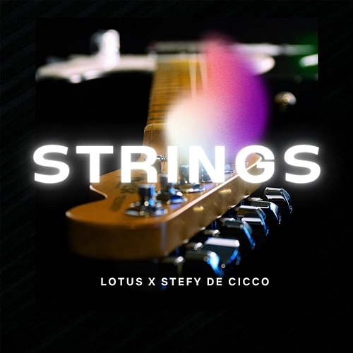Strings Lotus, Stefy De Cicco