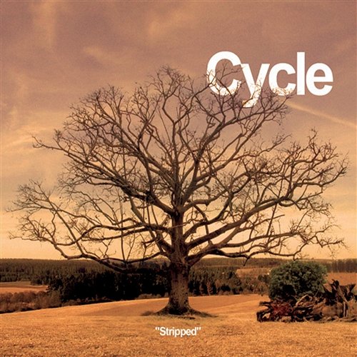 Stripped Cycle