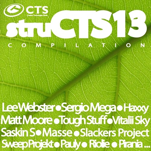 Structs Vol.13 Various Artists
