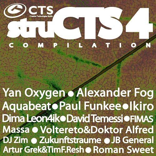 Structs Vol.4 Various Artists
