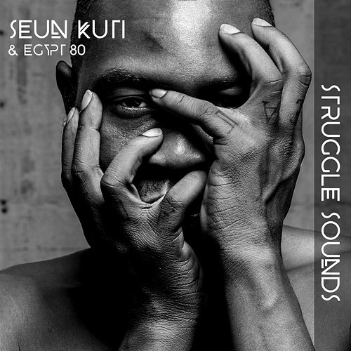Struggle Sounds Seun Kuti & Egypt 80