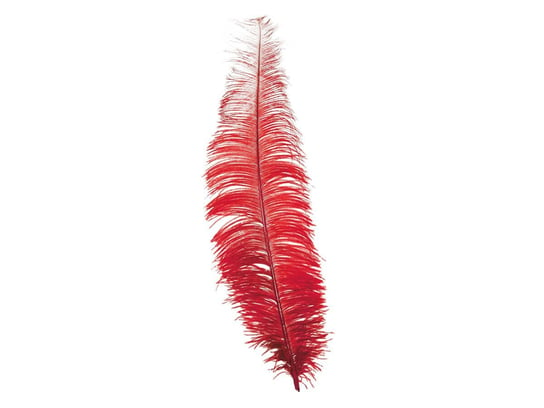 Strusie pióro czerwone - 40 cm - 1 szt. Guirca