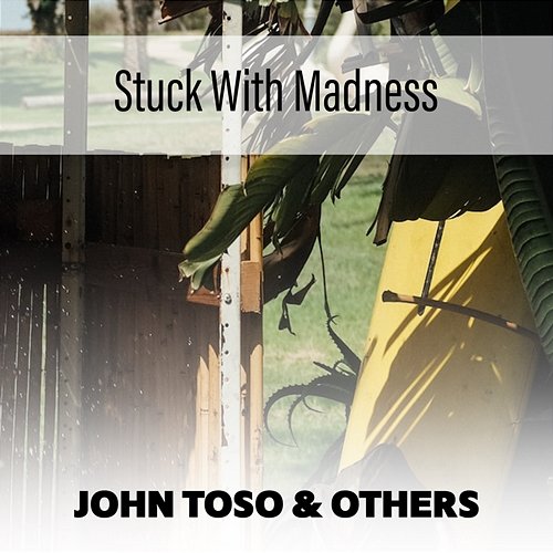 Stuck With Madness John Toso & Others