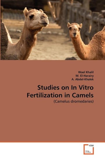 Studies on In Vitro Fertilization in Camels Khalil Wael