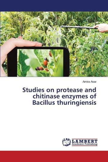 Studies on protease and chitinase enzymes of Bacillus thuringiensis Asar Amira