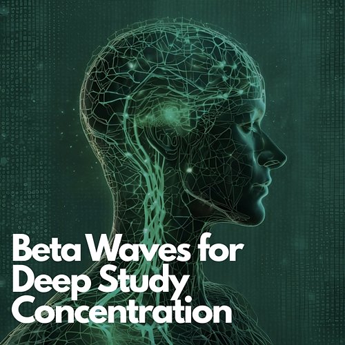 Study Frequency: Beta Waves for Deep Study Concentration Study Beta Frequencies TP, Deep Concentration Beta Waves TP